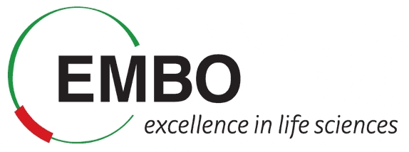 Enlarged view: EMBO Logo